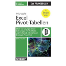 dpunkt.Verlag livre Excel