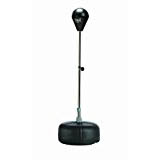 Everlast punching ball