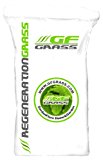 Classic Green semence gazon