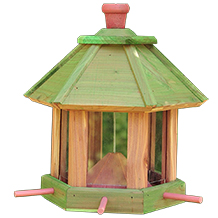 Ölbaum mangeoire pour oiseaux