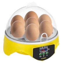 Mxssi incubateur d'oeufs