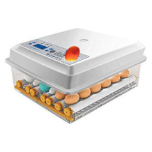Kacsoo incubateur d'oeufs