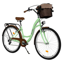 Reiner vélo hollandais