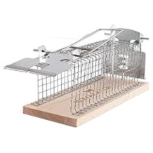 Novacatch trappe à souris