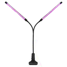 KOOSEED lampe pour plantes