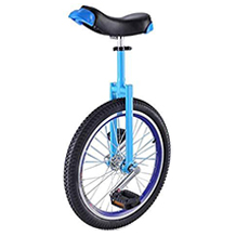 ZWH monocycle