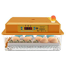 Hethya incubateur d'oeufs