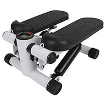 Entatial mini stepper