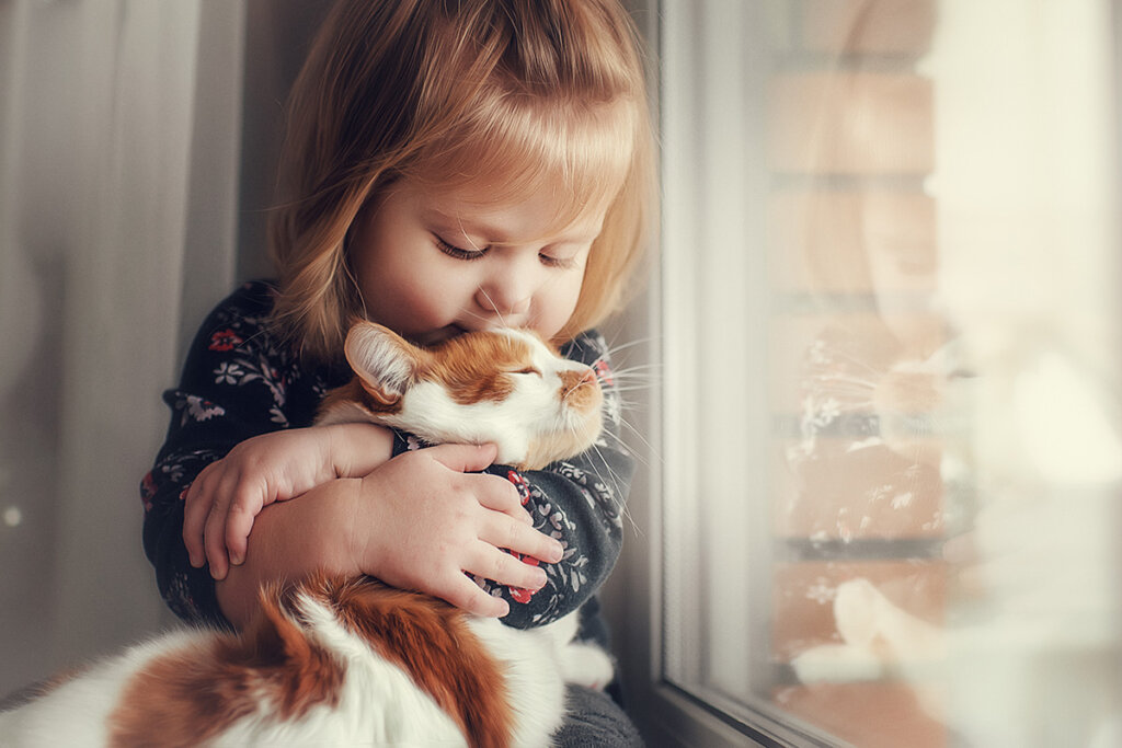 Les chats sont des animaux très populaires