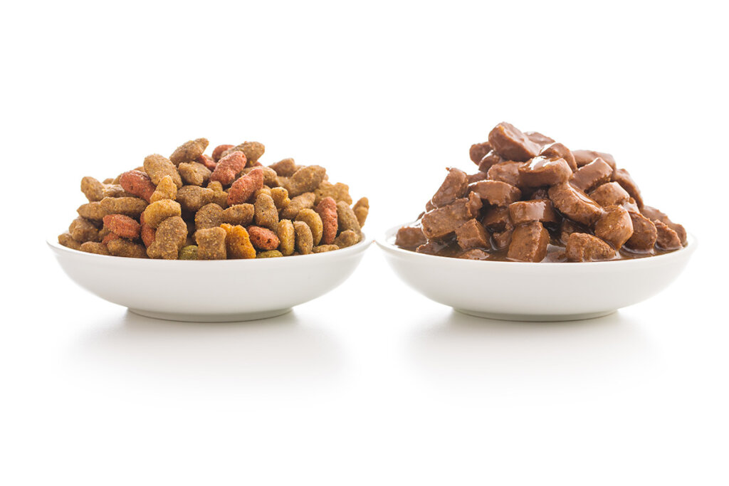 Les aliments secs contiennent plus de calories par gramme.