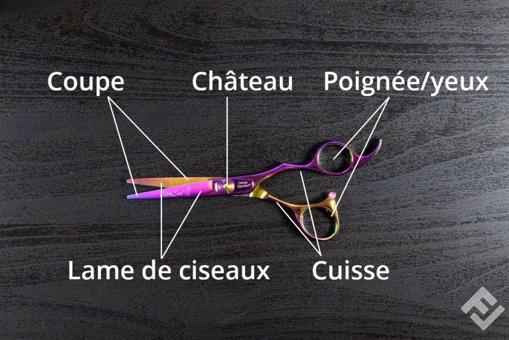 anatomie_des_ciseaux_coiffure