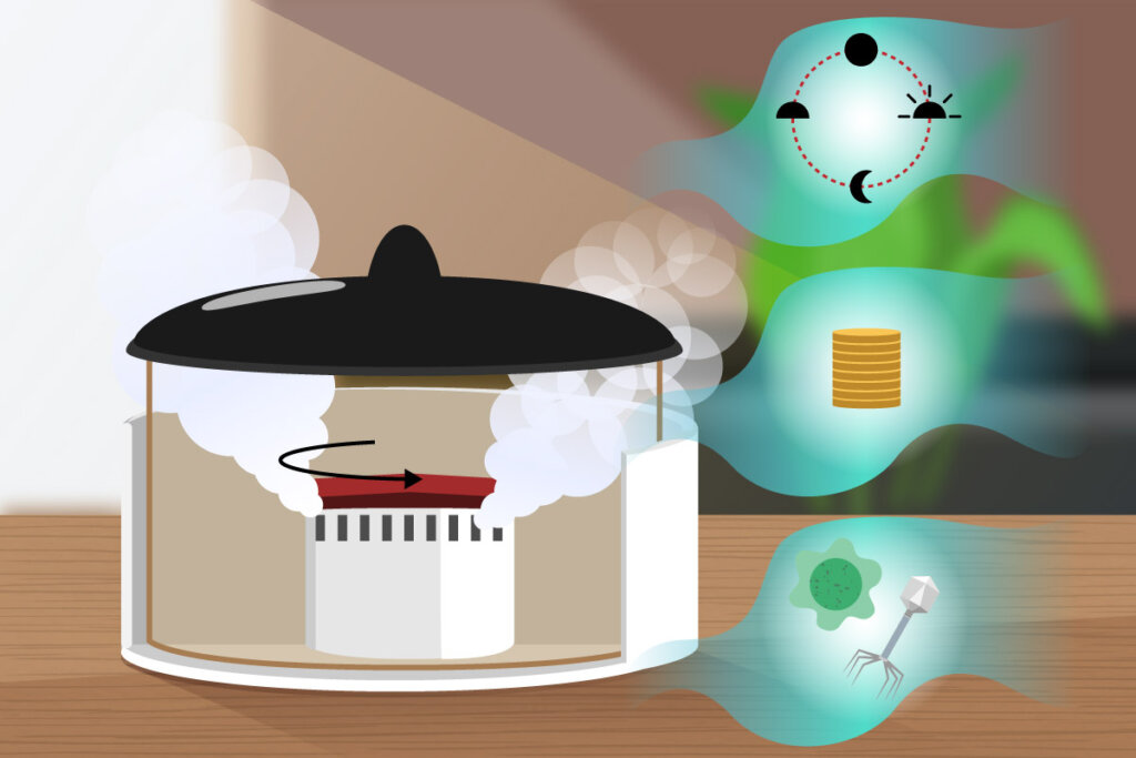 humidificateurs d'air à vapeur froide