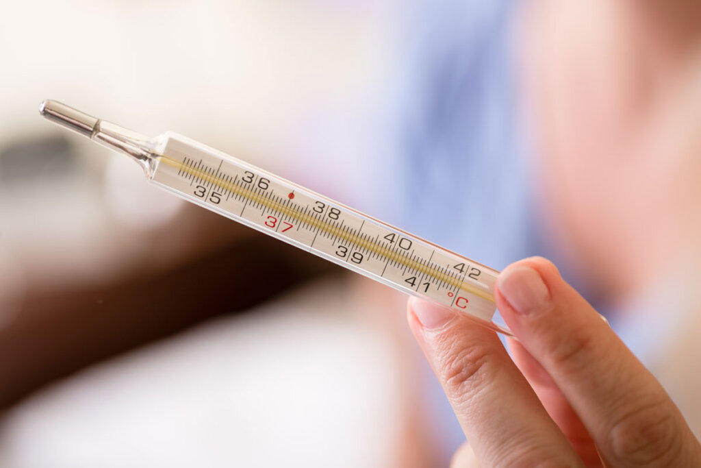 thermomètre analogique pour mesure rectale