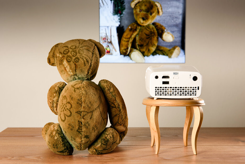 ours en peluche devant l'écran à côté du vidéoprojecteur