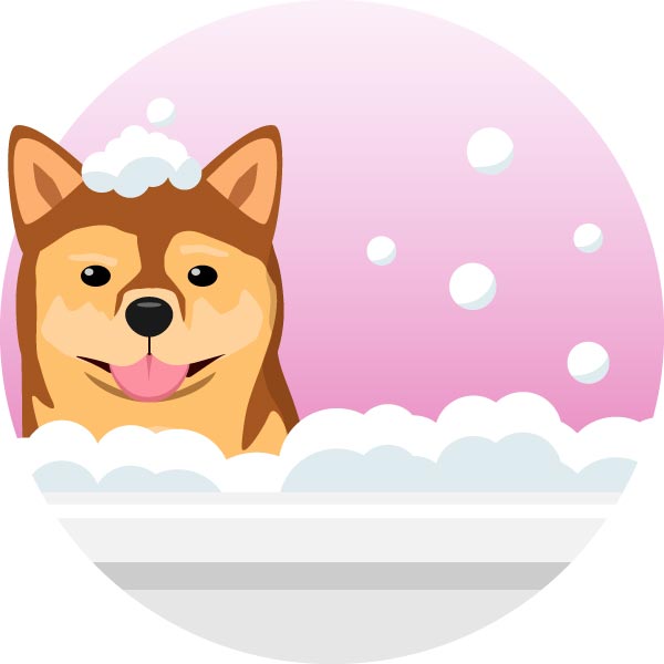 tondeuse pour chiens baigner