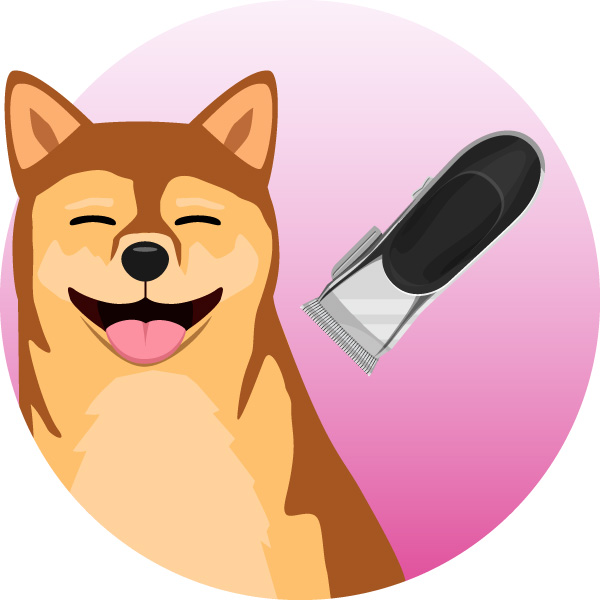 tondeuse pour chiens tondeuse